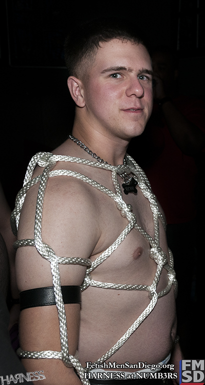 FMSD - HARNESS - DSC_0272.jpg